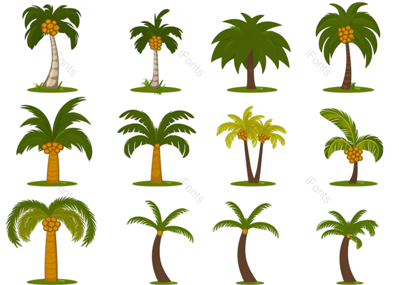自然图片,森林元素,绿色PNG,植物免抠素材